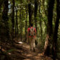 Senderista caminando por un bosque de laurisilva en Tenerife