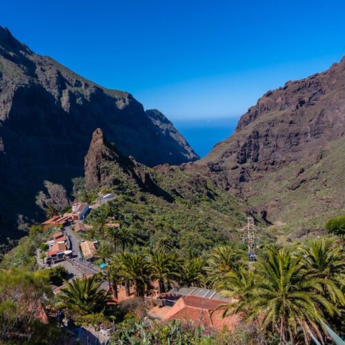 Vista del caserío de Masca entre palmeras con el Barranco de Masca y el océano Atlántico al fondo, Tenerife