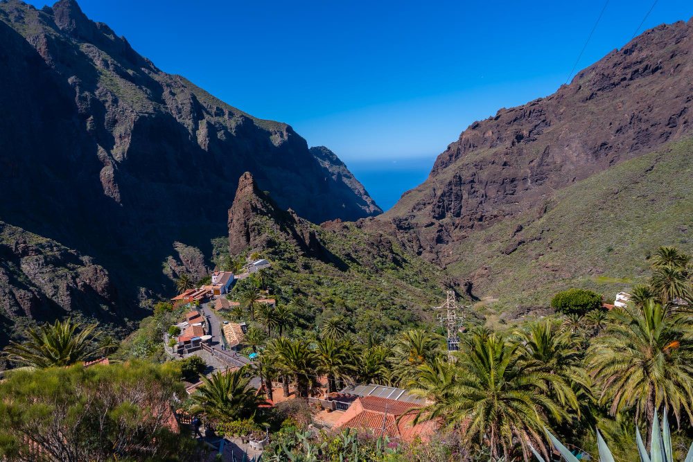 Vista del caserío de Masca entre palmeras con el Barranco de Masca y el océano Atlántico al fondo, Tenerife